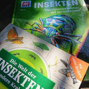 Kindersachbuch-Illustrationen im Vergleich: Was ist Was Insekten und das Stickerbuch die Welt der Insekten
