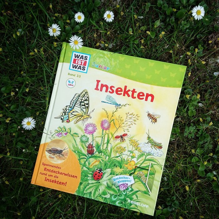 Kindersachbuch: WAS IST WAS Junior Insekten